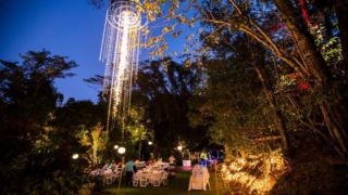 The Cassowary Wedding 001