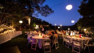 The Cassowary Wedding 002